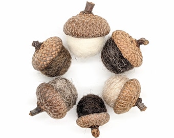 May include: Six decorative acorns arranged in a circle. The acorn caps are brown, and the bodies are made of white, black, and tan wool. Each acorn has a small, brown stem. The acorns are set against a white background.