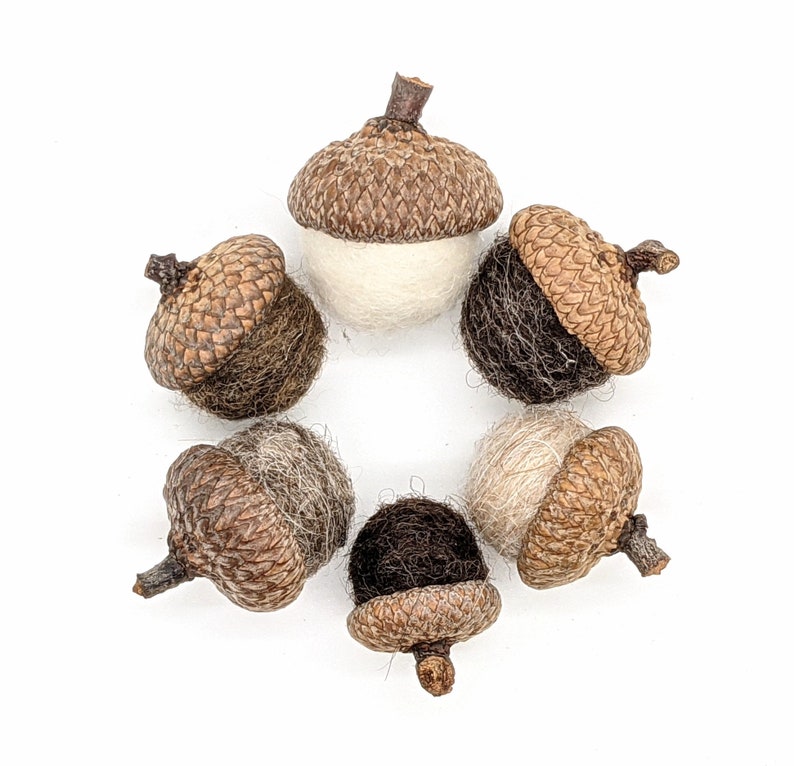 Felted Wool Acorns or Acorn Ornaments, Natural colors image 5