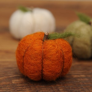 Needle Felted Pumpkin in Burnt Orange Wool