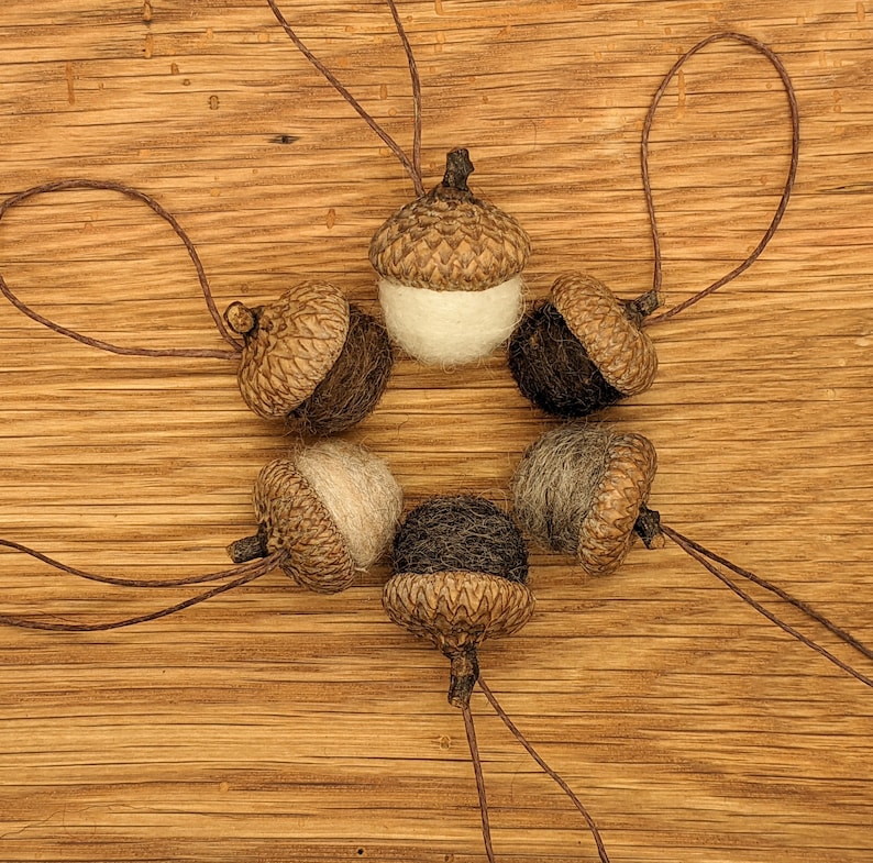 Felted Wool Acorns or Acorn Ornaments, Natural colors image 1