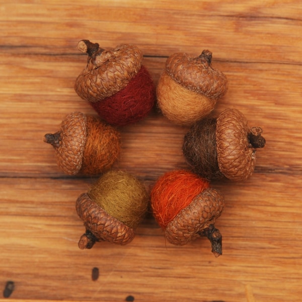 Wool Felted Acorn Ornaments, Set of 6 Fall colors, also available without hangers