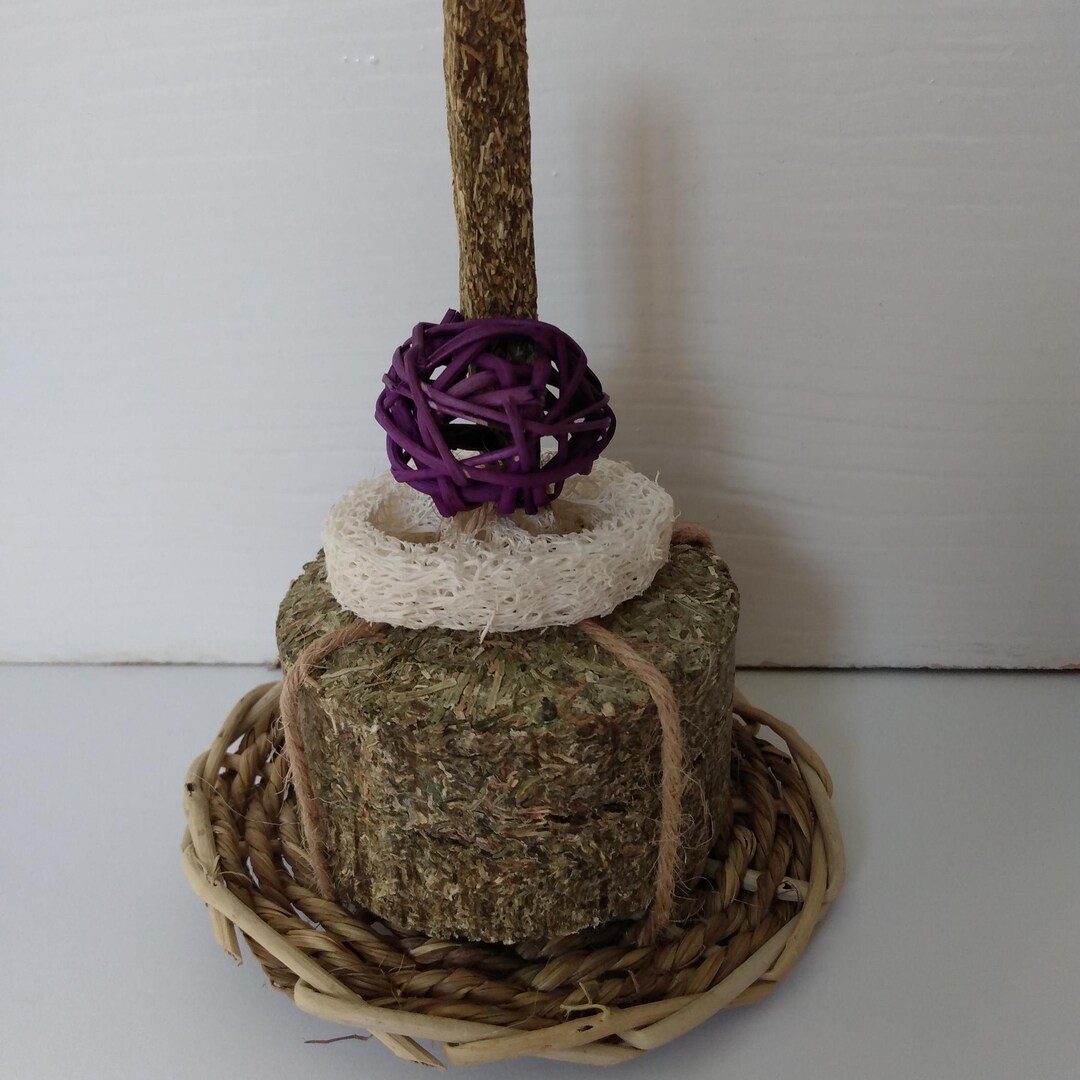 Birthday Cake for Rabbits. Birthday Gift for Rabbit, Enrichment Toys ...