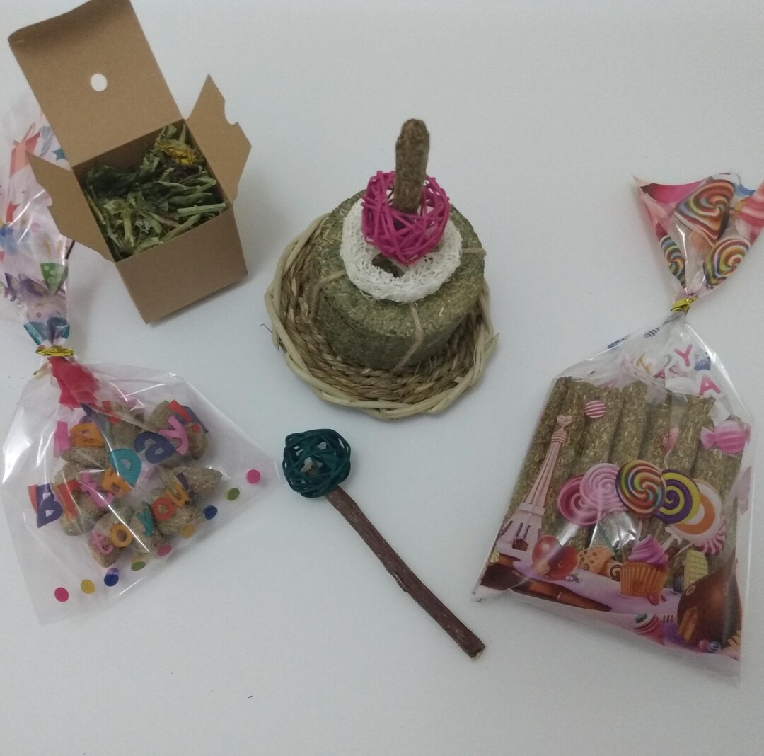 Birthday Cake for Rabbit. Birthday Present for Pet Rabbits. Birthday ...