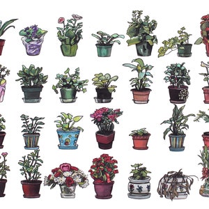 Beesly Botanicals - Watercolor - 11x14 - The Office