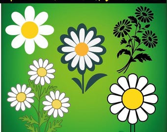 Daisy SVG Bundle, Daisy Flower Svg files for Cricut, Clipart cut files, Vector Cut File, Spring svg