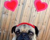 Valentines Day  - Love bug  Heart Hat for all size pet