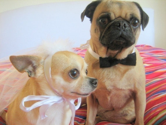 Bridal Party Pet Bride And Groom Costume Customize Bow Tie Etsy