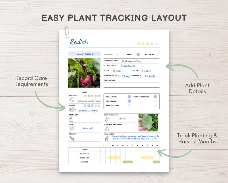 May include: A printable plant tracking layout titled "Easy Plant Tracking Layout" with radish details. The document includes sections for care requirements, plant details, and tracking planting and harvest months. The radish image is accompanied by text and illustrations.
