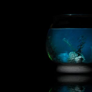 Life in a Vase