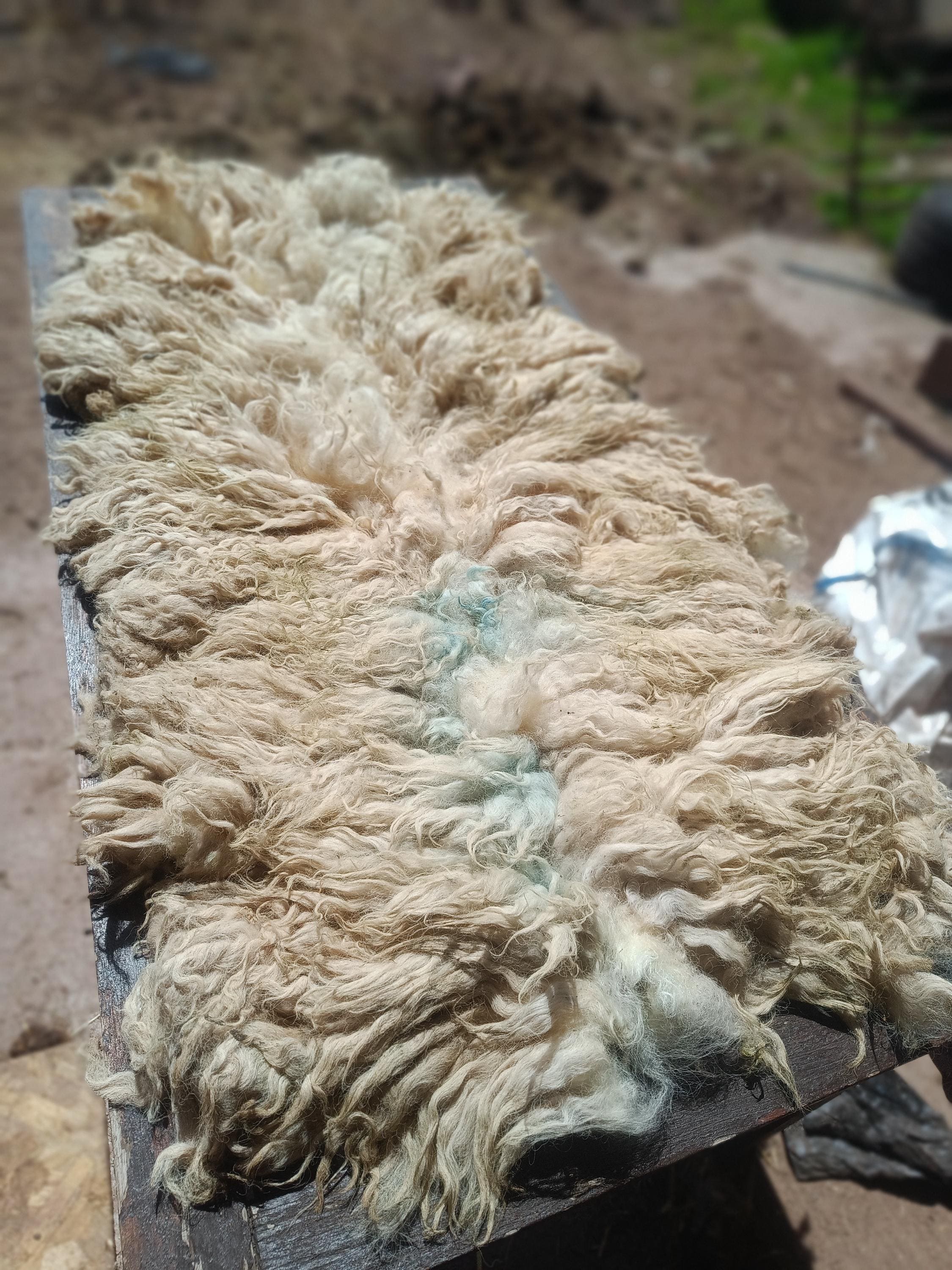 Raw sheep wool - Etsy 日本