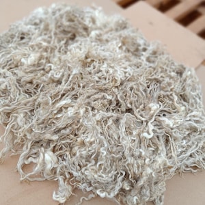Peut inclure: Un grand tas de laine de mouton brute et non filée, composé de longues mèches bouclées et ondulées. Les fibres présentent une palette de couleurs naturelles allant du blanc cassé crème au beige clair et au brun clair, offrant un aspect texturé.
