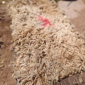 Op de afbeelding: Een rechthoekig, beige tapijt met een harige textuur en een vervaagde rode markering. Het tapijt ligt op een verweerd houten oppervlak, met een vage achtergrond.