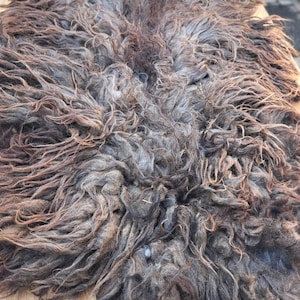Op de afbeelding: Een rechthoekig schapenvachtkleed met lang, ruig en krullend haar in een mix van donkerbruine, antracietgrijze en lichtere bruintinten. De textuur is dicht en wild, met natuurlijke variaties in de kleur van de dierlijke vezels.