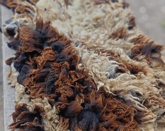 Jacobsheep beautiful raw wool fleece for spinning or weaving 1.8 kg