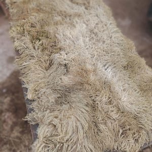 Op de afbeelding: Een rechthoekig, harig tapijt met een lichtbruin, getextureerd oppervlak. Het tapijt lijkt gemaakt te zijn van lange, krullende vezels, waardoor een dichte, zachte uitstraling ontstaat. Het tapijt ligt op een houten oppervlak.