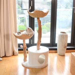 以下が含まれることがあります： 2 つのプラットフォーム、つめとぎポール、そして居心地の良い洞窟を備えた白い猫の木。プラットフォームは籐で編まれ、ポールはサイザルロープで包まれています。猫の木は窓と花瓶のある部屋にあります。