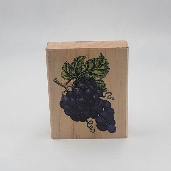 Fruit Rubber Stamp Etsy