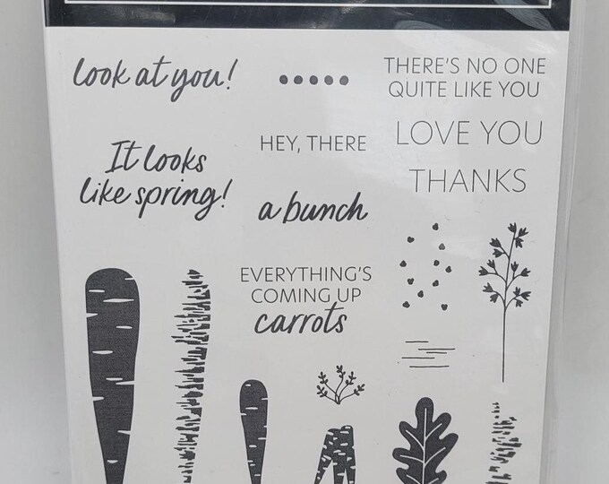 Stampin up THANKS a BUNCH PHOTOPOLYMER 19 Stamps Set New Unmounted ...