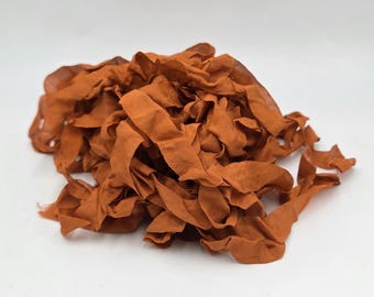 Burnt Umber Autumn Shabby Chic RIBBON crinkled seam binding - 4 yards Rayon