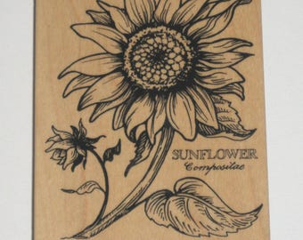 PSX Rubber Stamp SUNFLOWER Botanical