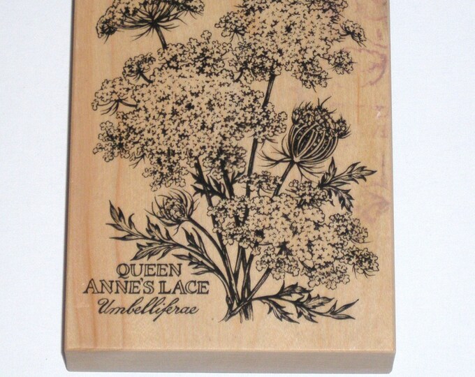 RARE PSX Rubber Stamp QUEEN ANNE'S LACE Botanical - Etsy