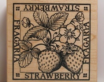 PSX STRAWBERRY FRAGARIA Rubber Stamp fruit flower