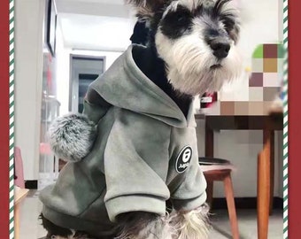 mini schnauzer costumes