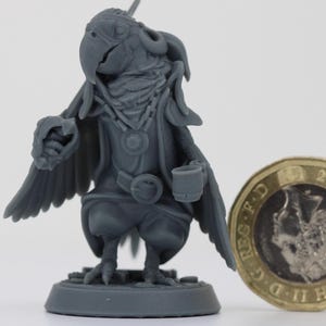 Pájaro pirata guacamayo: miniatura sin pintar para D&D, TTRPG / Criaturas Pepunki / Modelos a escala de 32 mm y 75 mm