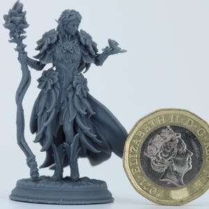 May include: A grey miniature elf figurine with floral detailing, holding a staff. The figure is on a base. A British one pound coin is next to the figure for scale, approximately 2.2 cm in diameter.