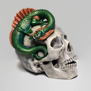 Green water dragon perched on a sun faded ceramic skull.