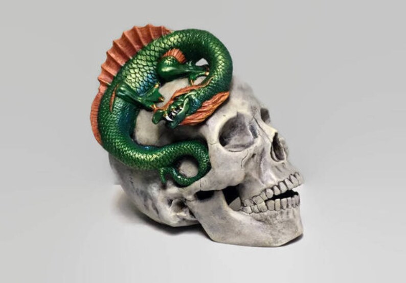 Green water dragon perched on a sun faded ceramic skull.