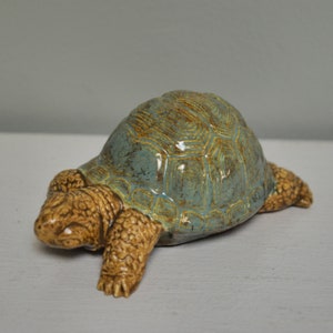 Ceramic Box Turtle "Moving On"