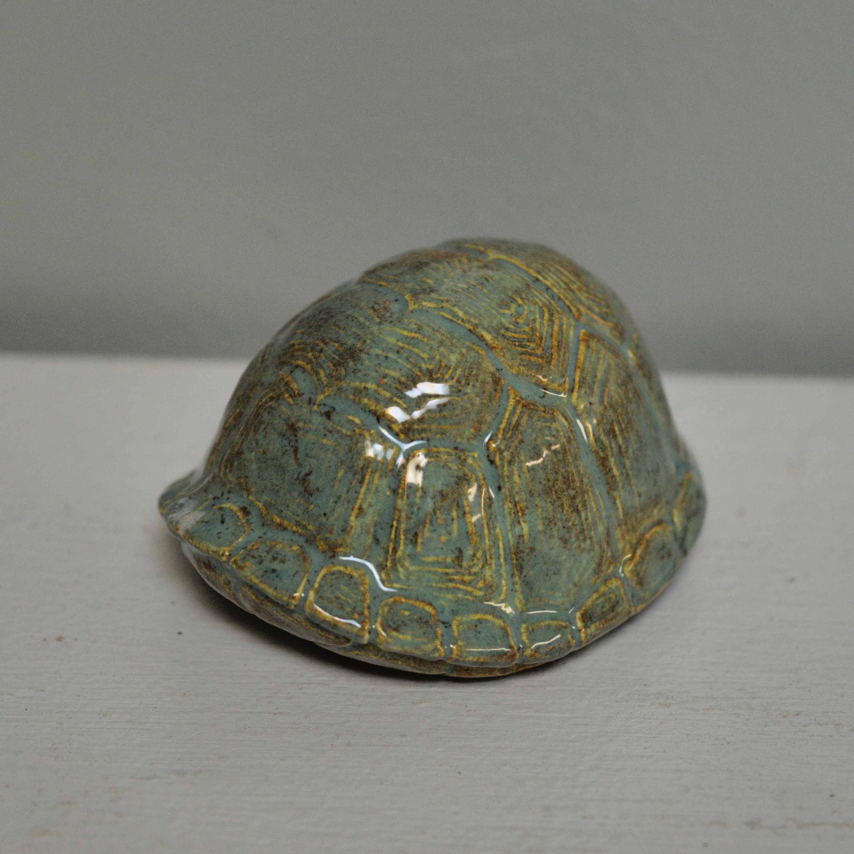 Ceramic Box Turtle "Home" — GrapeVine Ceramics
