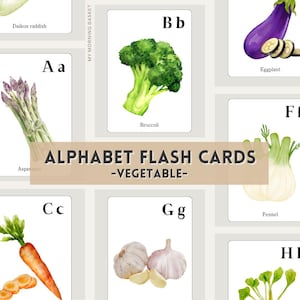 Cartão ABC vegetal | Cartões de alfabeto para impressão | Educação Montessori, Flashcards de ensino em casa, arte da natureza, pré-escola, aprendizagem precoce de crianças