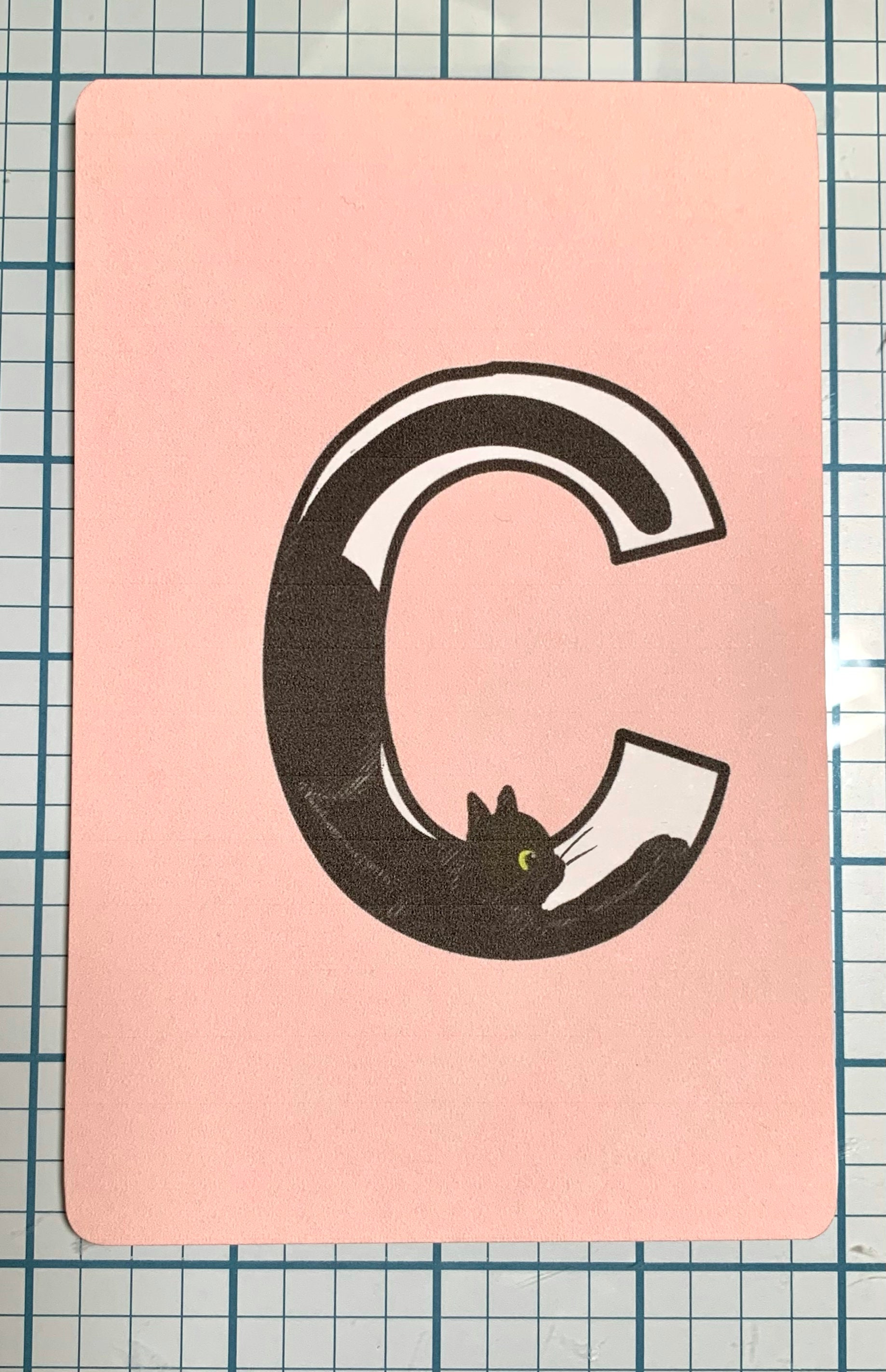 C CAT Postcard Alphabet Cat Letter - Etsy