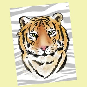 Carte postale TIGRE