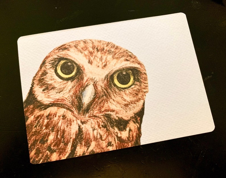 OWL Postcard image 2