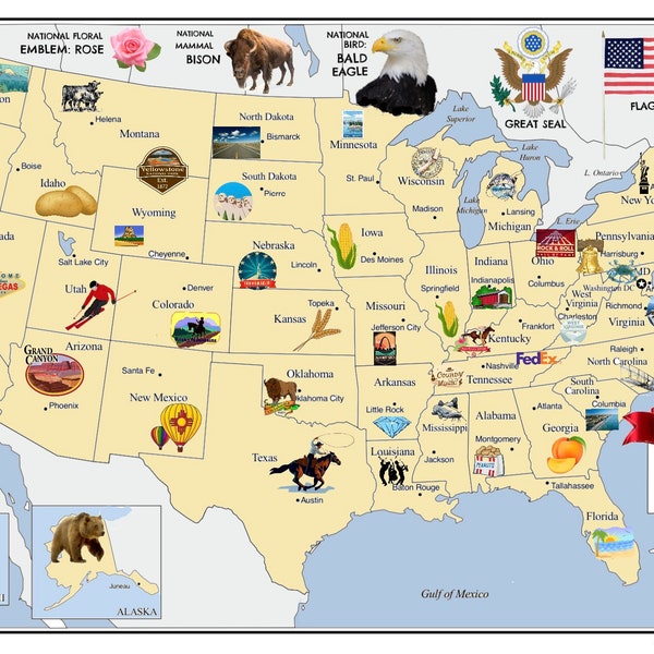 United States of AMERICA Map Postcard