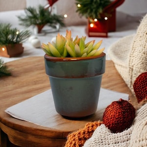 PLANTER, Natural and Rustic Design, Perfect for Succulents, Cacti, and Small Plants, Handmade, Ceramic, 150ml/5oz
