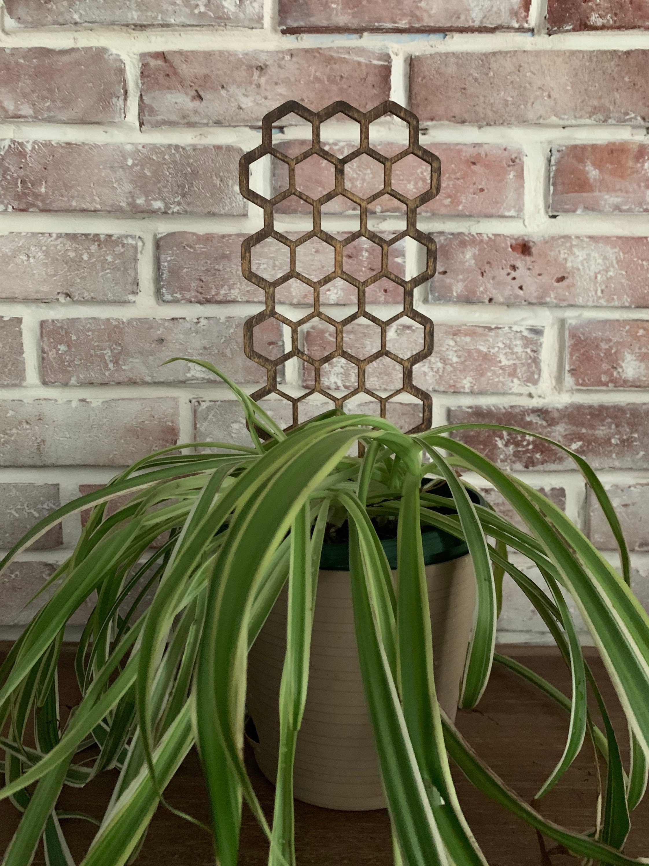 Indoor Plant Trellis Dark Wood Trellis Etsy
