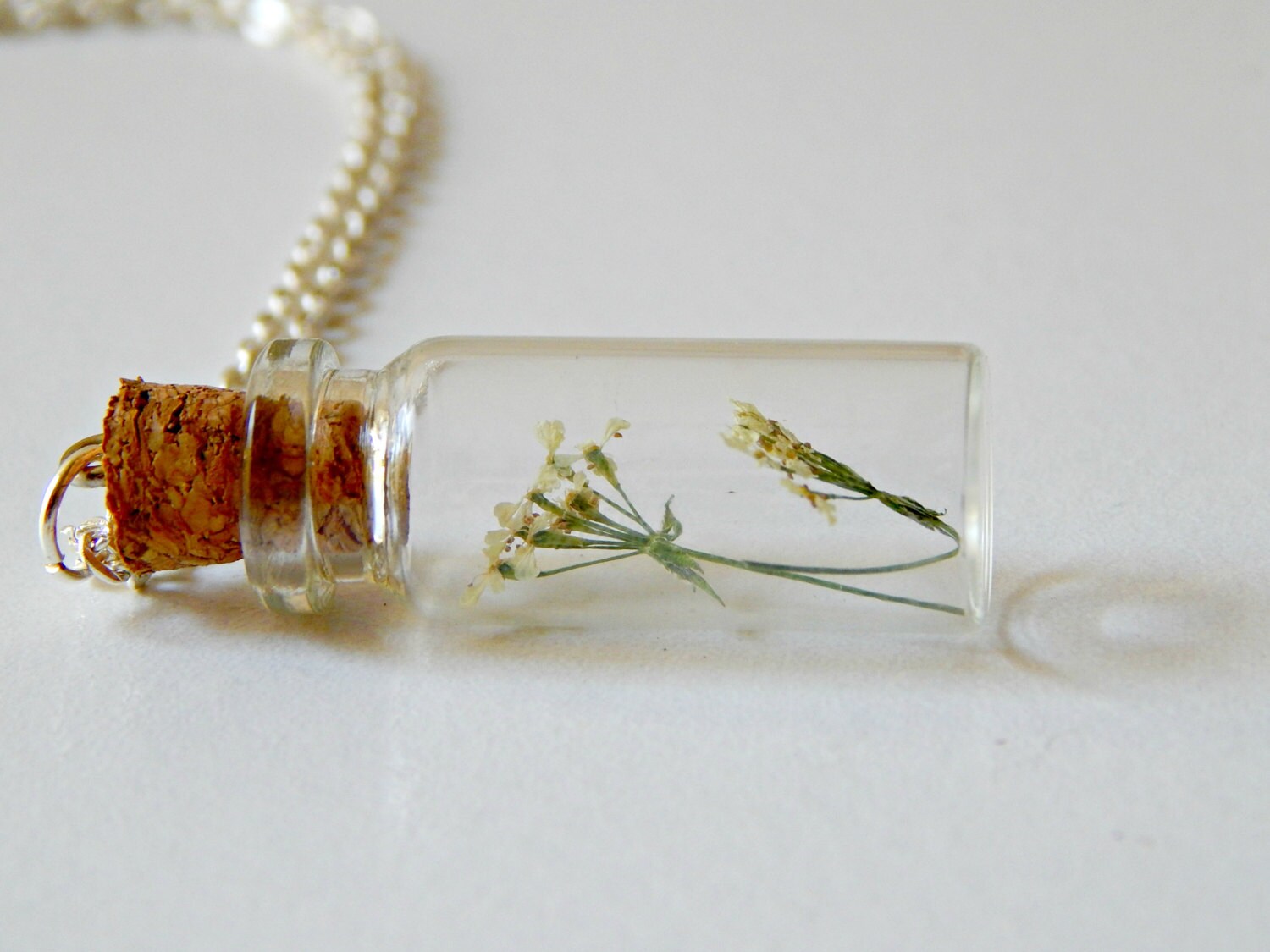 Dried Flower in a Bottle Necklace Silver Chain Queen Anne Lace Etsy