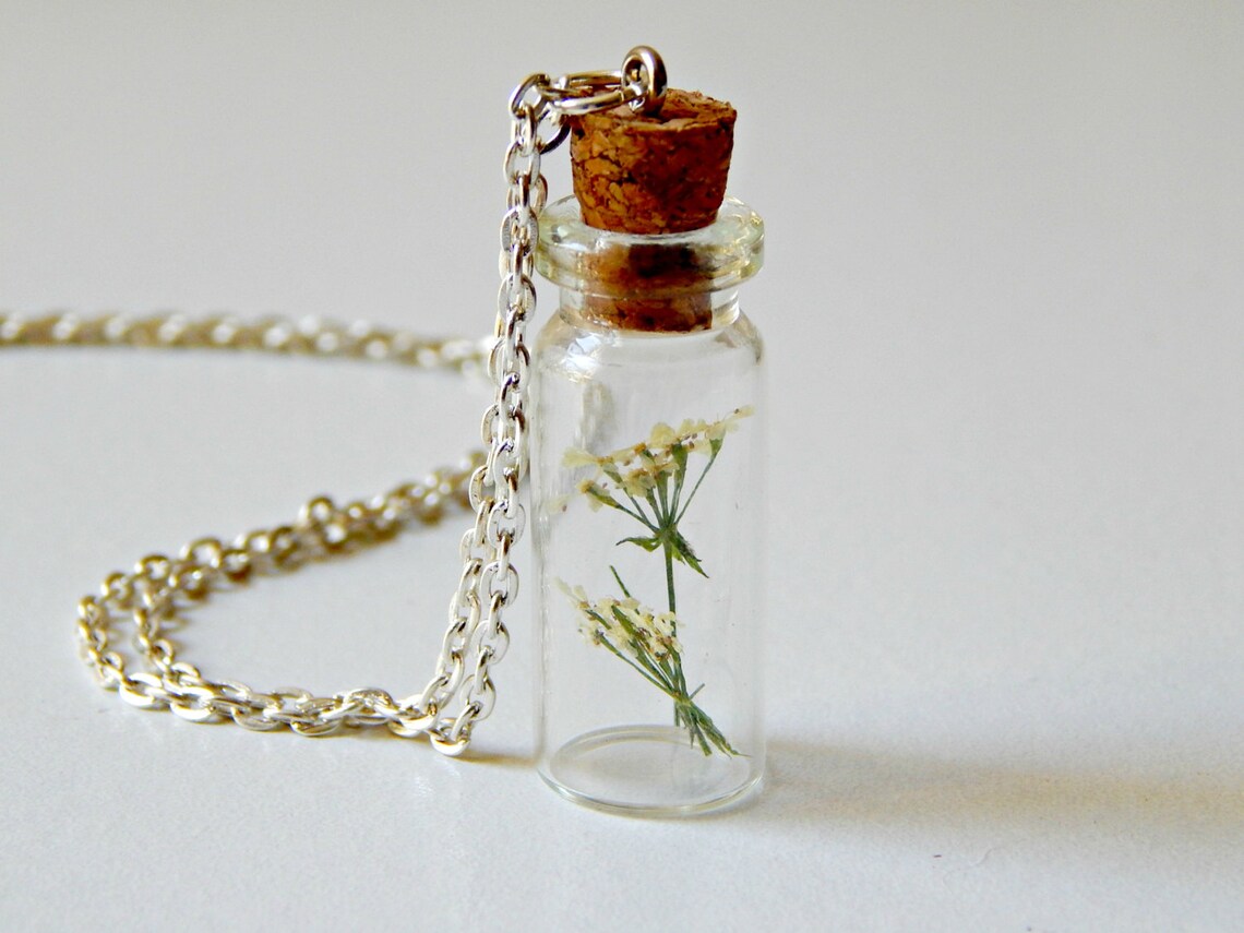 Dried Flower in a Bottle Necklace Silver Chain Queen Anne Lace Etsy