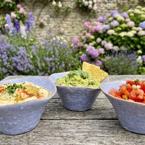 May include: Three light blue, textured ceramic bowls arranged on a wooden surface. The left bowl contains hummus with olive oil and paprika, the centre bowl holds guacamole with a tortilla chip, and the right bowl is filled with diced tomato salsa.