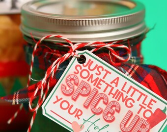 Printable Salsa Gift Tag for Christmas