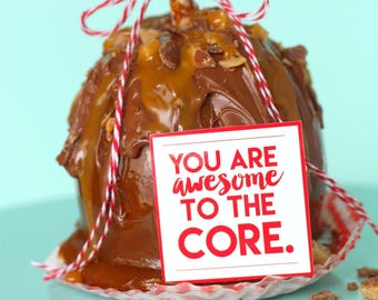 Teacher Appreciation Apple Gift Tags | Printable Thank You Tags (Instant Download)