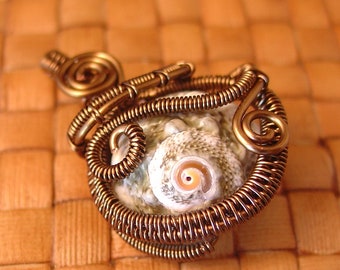 Sea Shell and Woven Bronze Pendant
