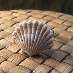 May include: A white seashell ring with a detailed, textured design. The ring is sitting on a woven, light brown surface.