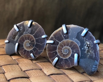 Ammonite Fossil Cuff Links