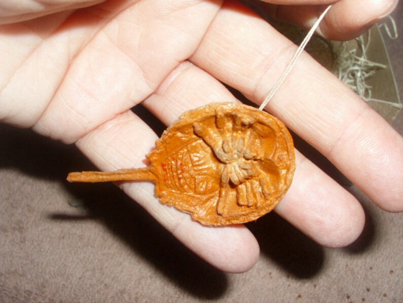 New Dresden Type Christmas Mini Horseshoe Crab Ornament 3D Etsy