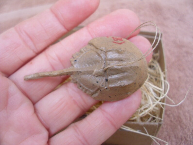 New Dresden Type Christmas Mini Horseshoe Crab Ornament 3D Etsy